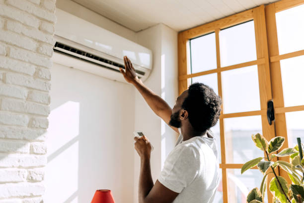 Best HVAC Air Duct Cleaning  in Park Rapids, MN